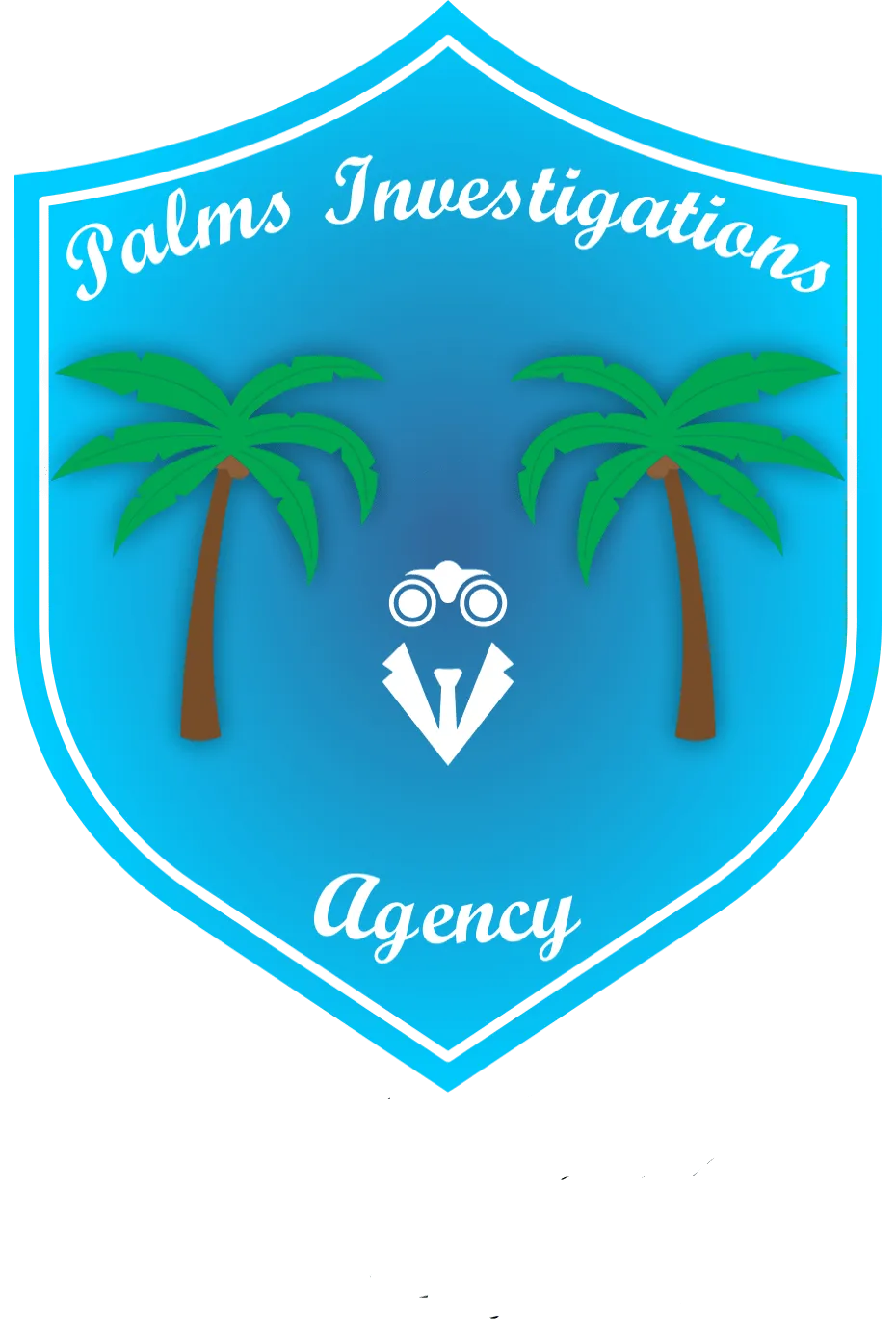 investigations, cheating spouse, detective, fraud, investigations ...